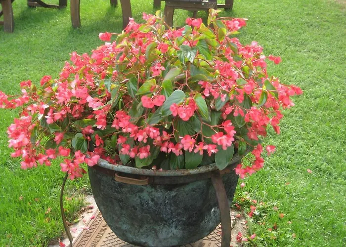 Vidmar - Vidmar Near Bled (adults Only) Πανσιόν