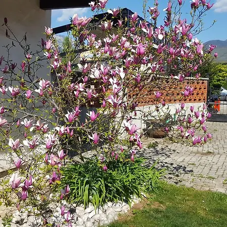 Vidmar Near Bled (adults Only) Lesce (Upper Carniola)