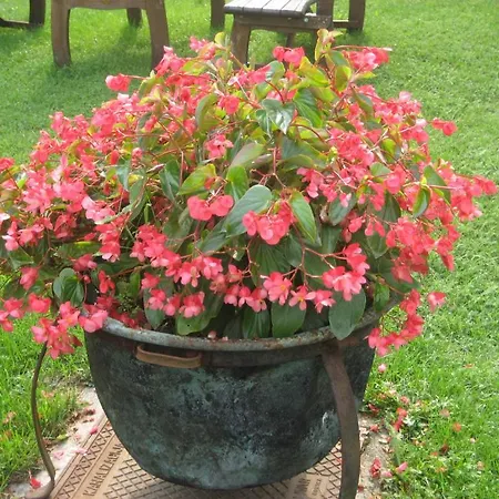 Vidmar Near Bled (adults Only) Affittacamere