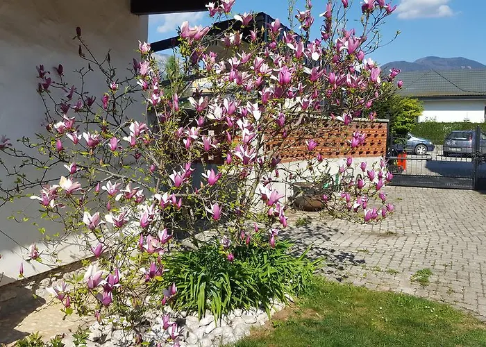 Vidmar Near Bled (adults Only) レスツェ